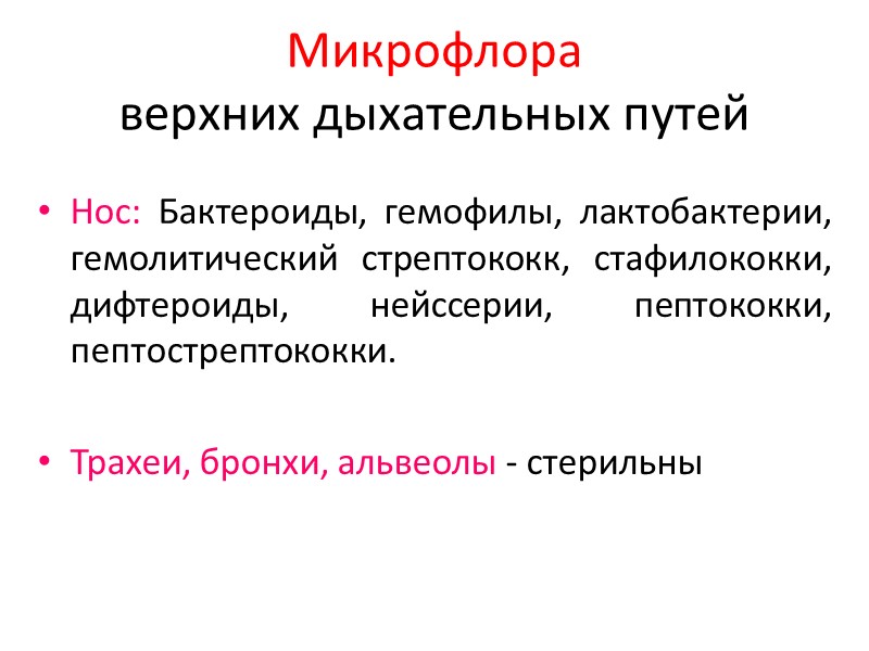 Микрофлора  верхних дыхательных путей Нос: Бактероиды, гемофилы, лактобактерии,  гемолитический стрептококк, стафилококки, дифтероиды,